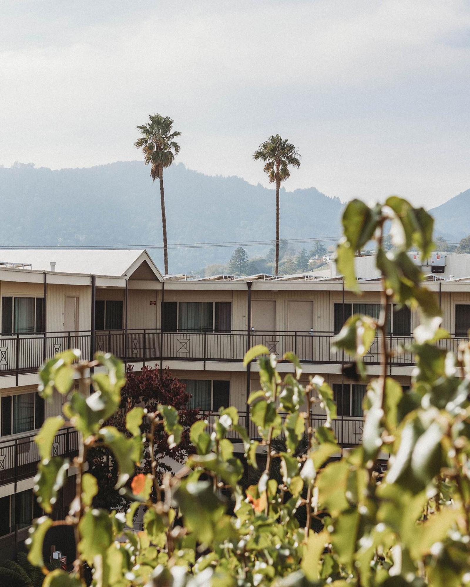 Marin Suites Hotel Corte Madera Zewnętrze zdjęcie
