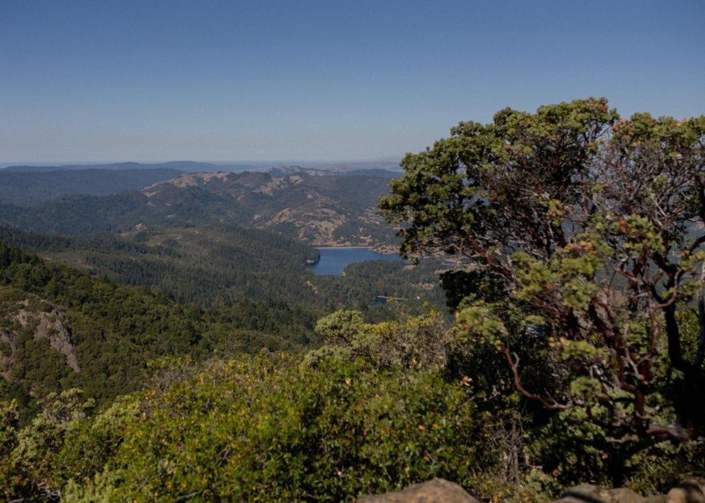 Marin Suites Hotel Corte Madera Zewnętrze zdjęcie